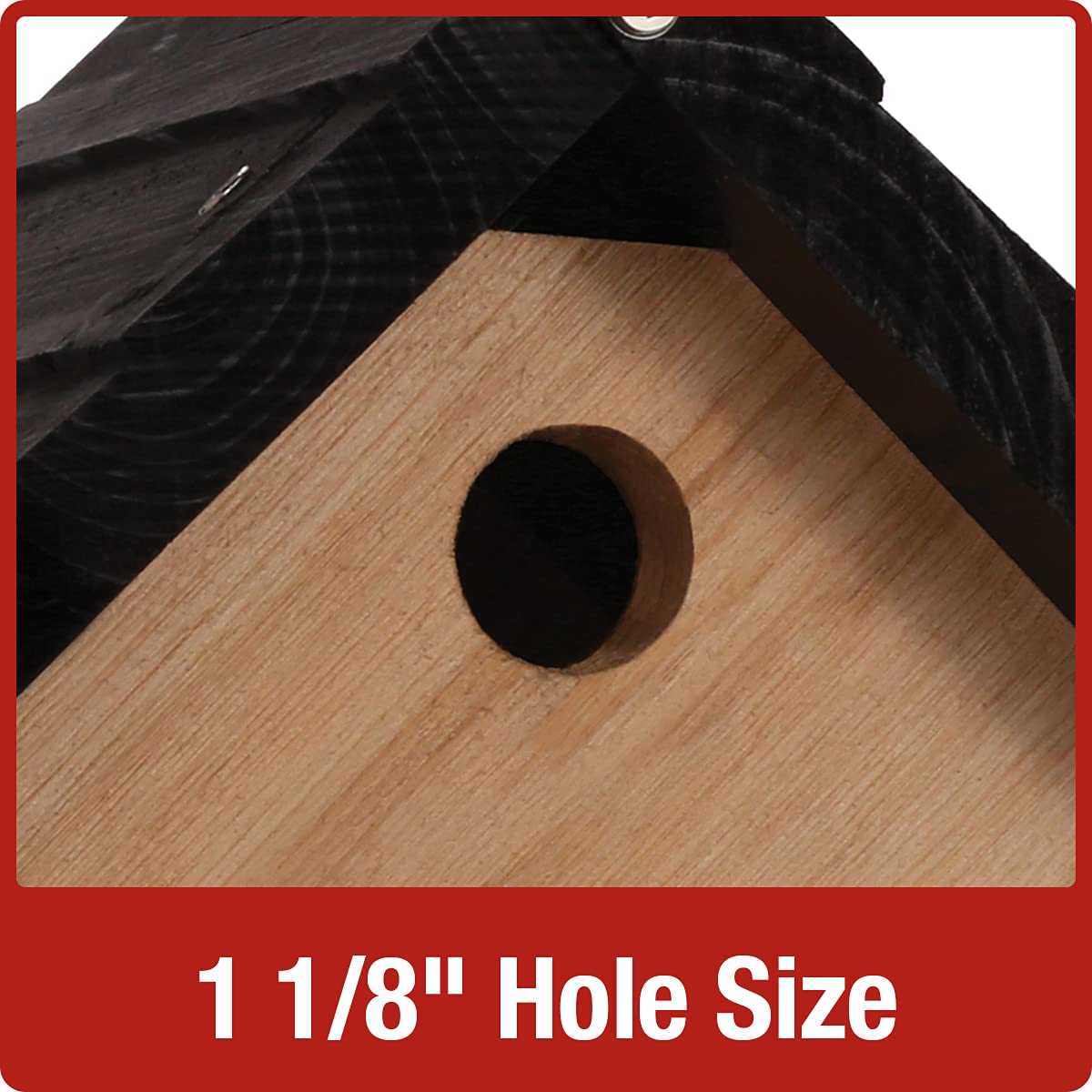 Cedar Wren House