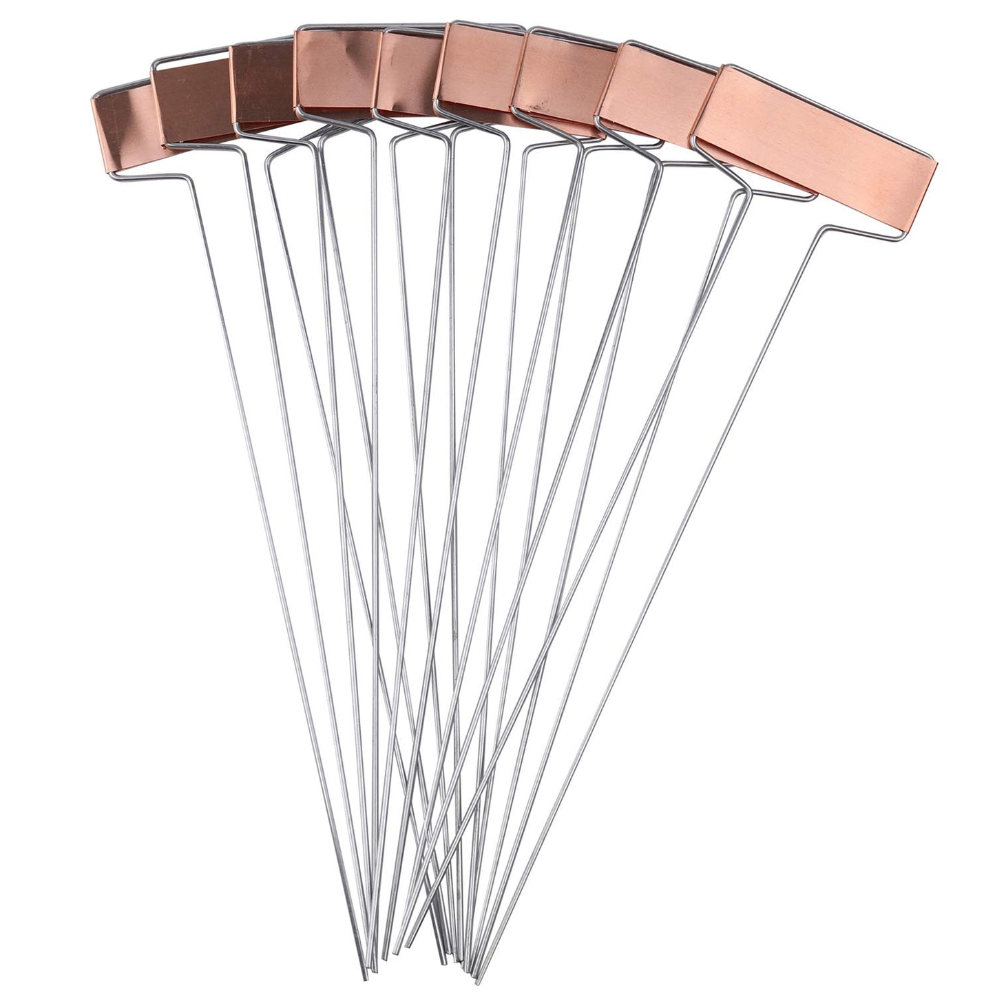 Copper Plate Metal Plant Labels