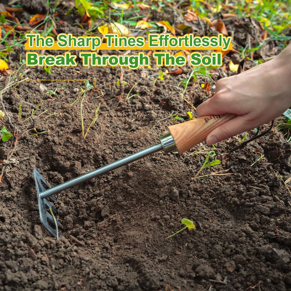 Hand Rake