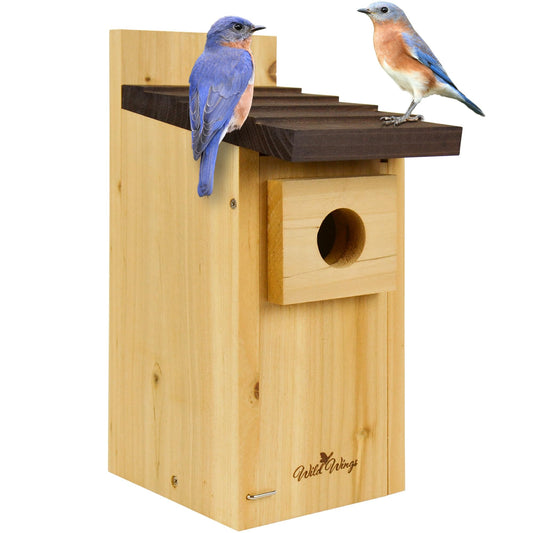 Cedar Bluebird Box House