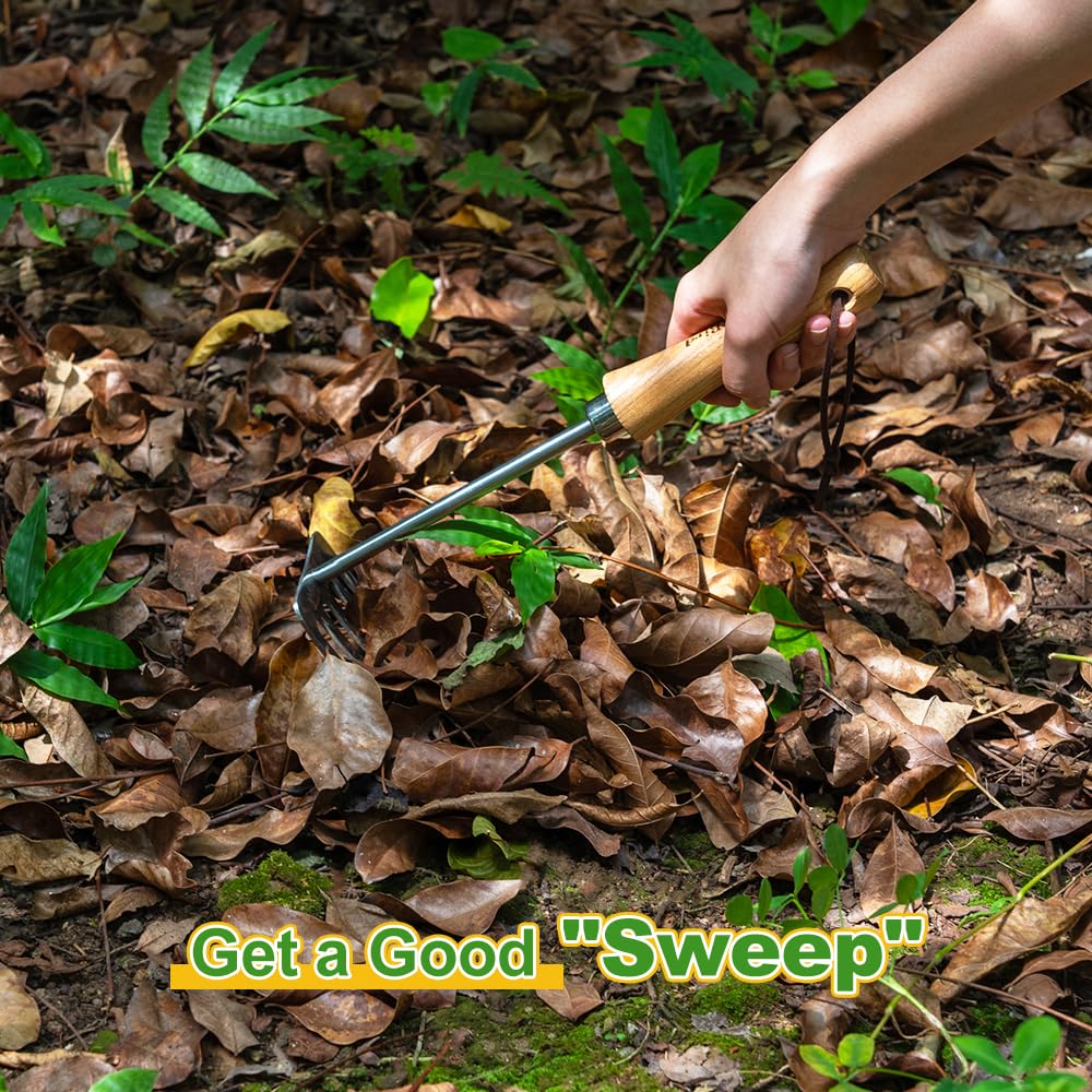 Hand Rake