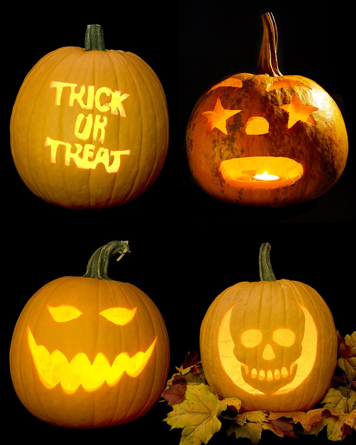 Pumpkin Carving Kit
