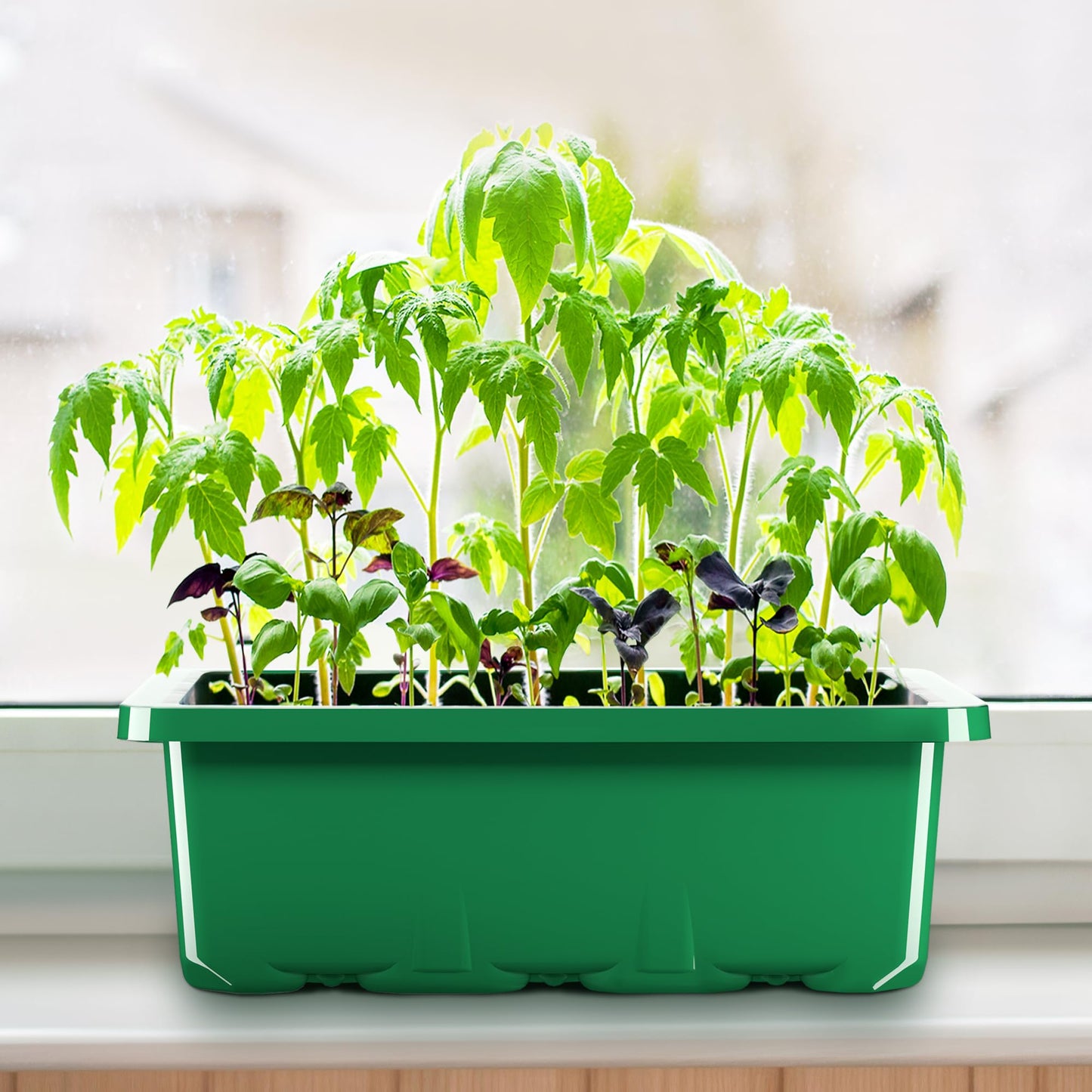 Seed Starter Tray Kit with Humidity Dome