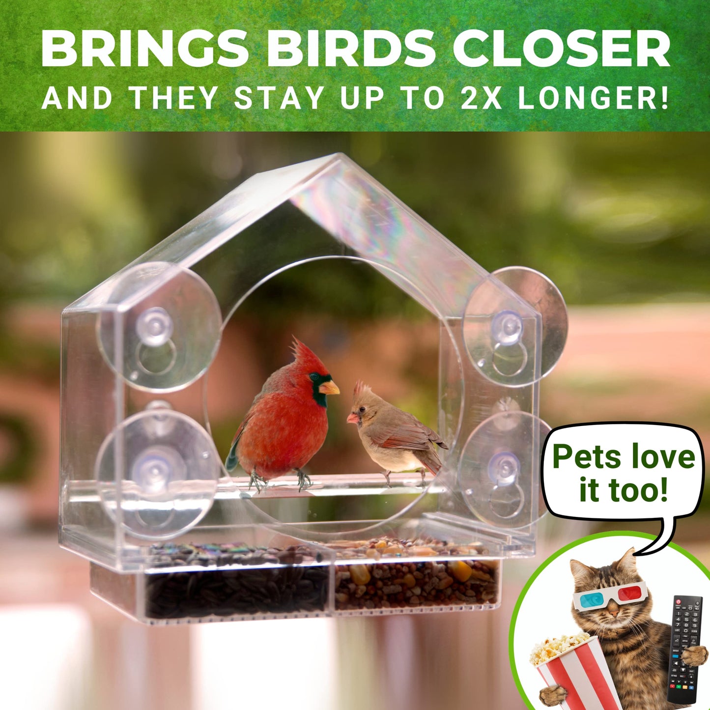 Window Bird Feeder