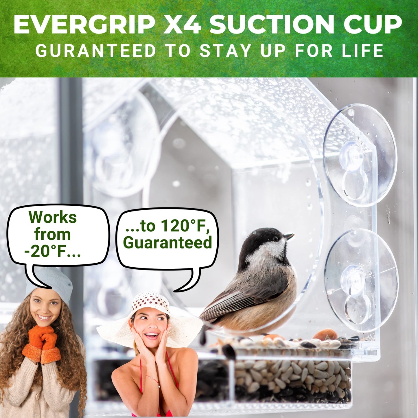 Window Bird Feeder