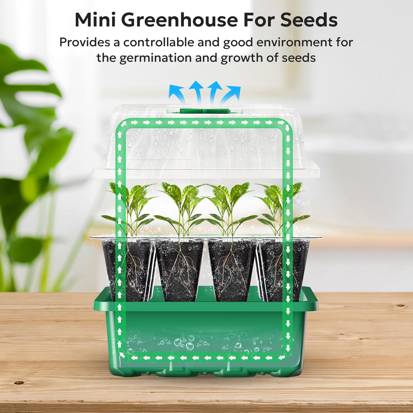 Seed Starter Tray Kit with Humidity Dome