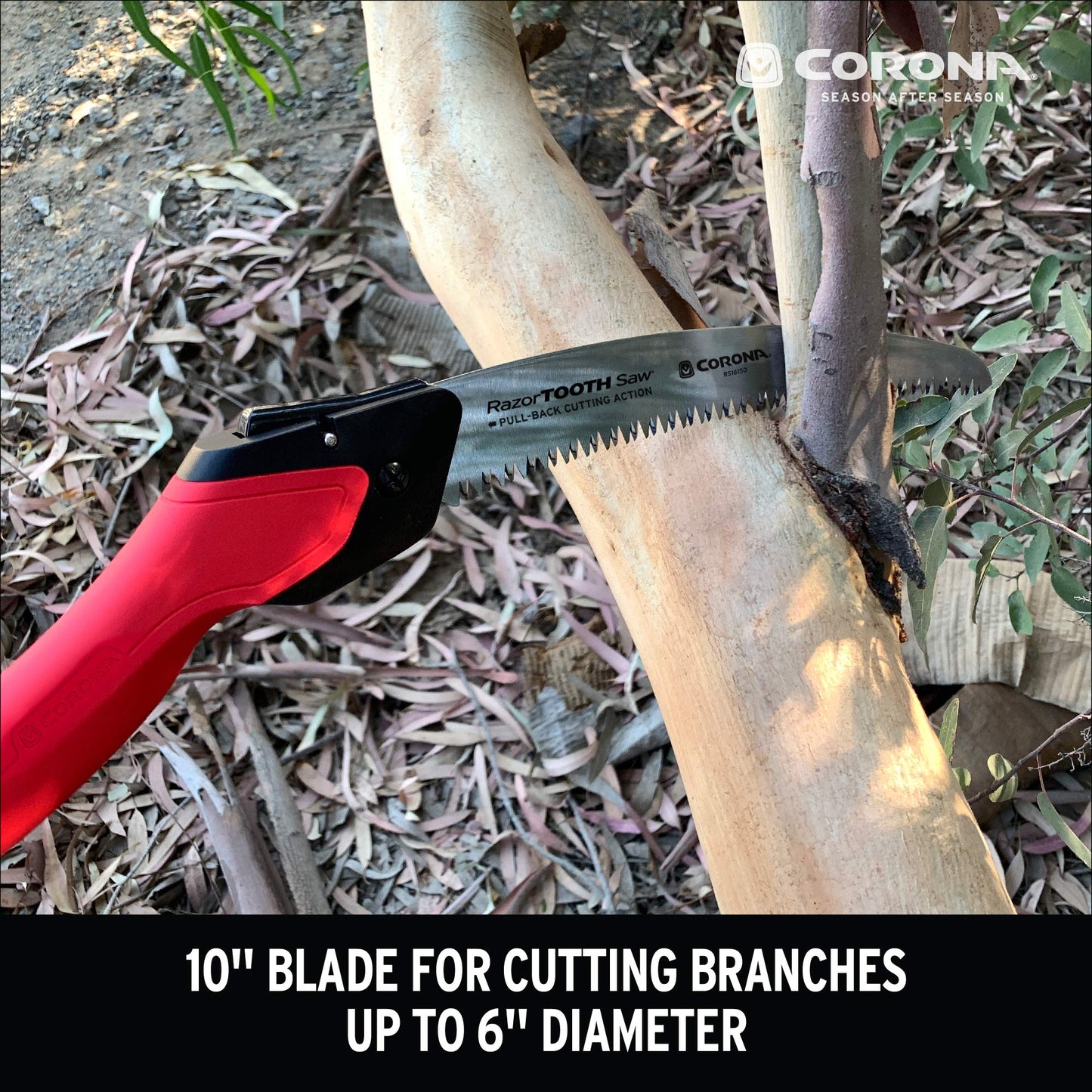 RazorTOOTH Folding Pruning Saw