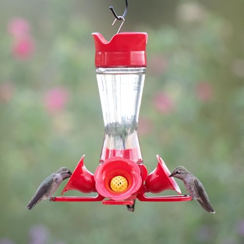 Hummingbird Feeder