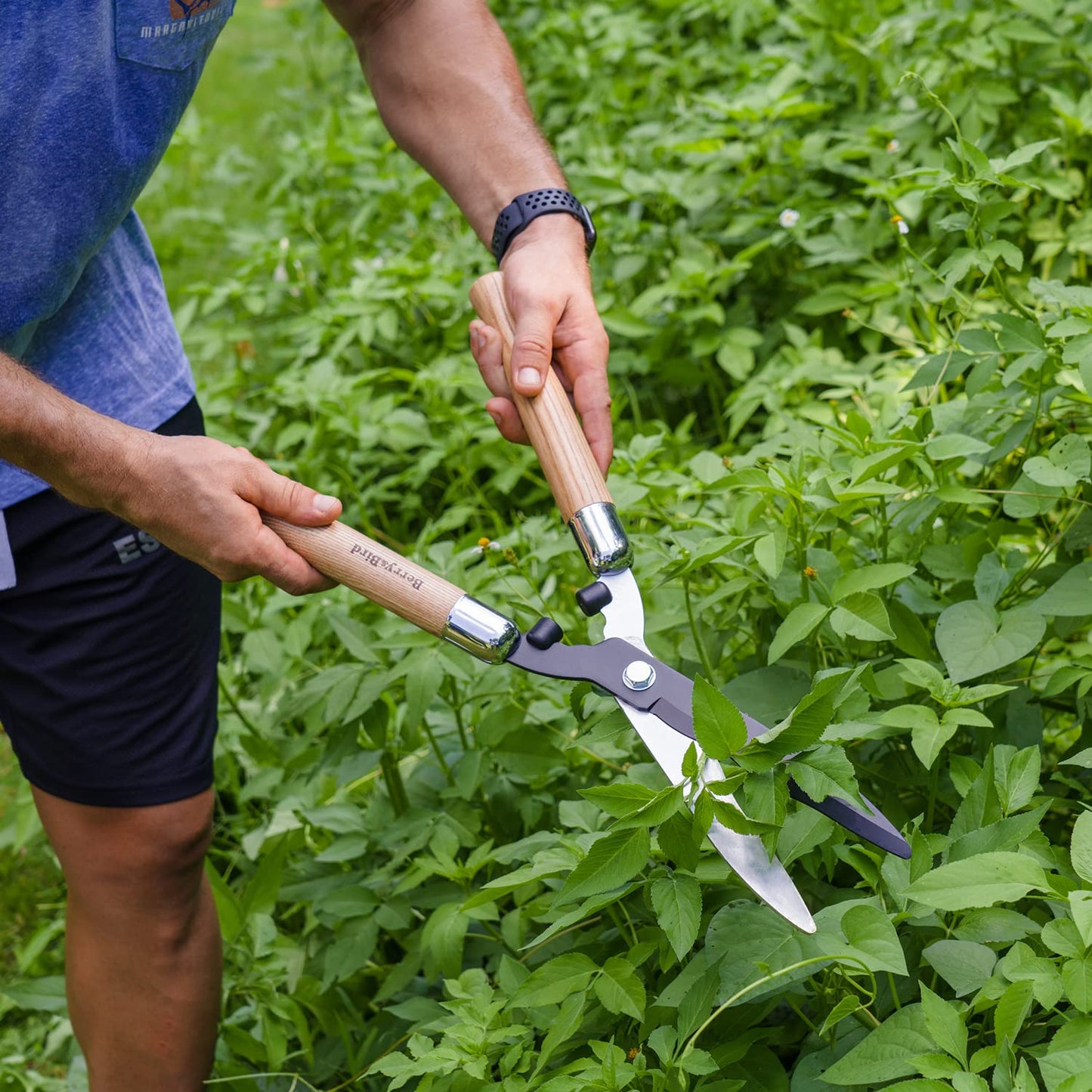 Garden Hedge Shears