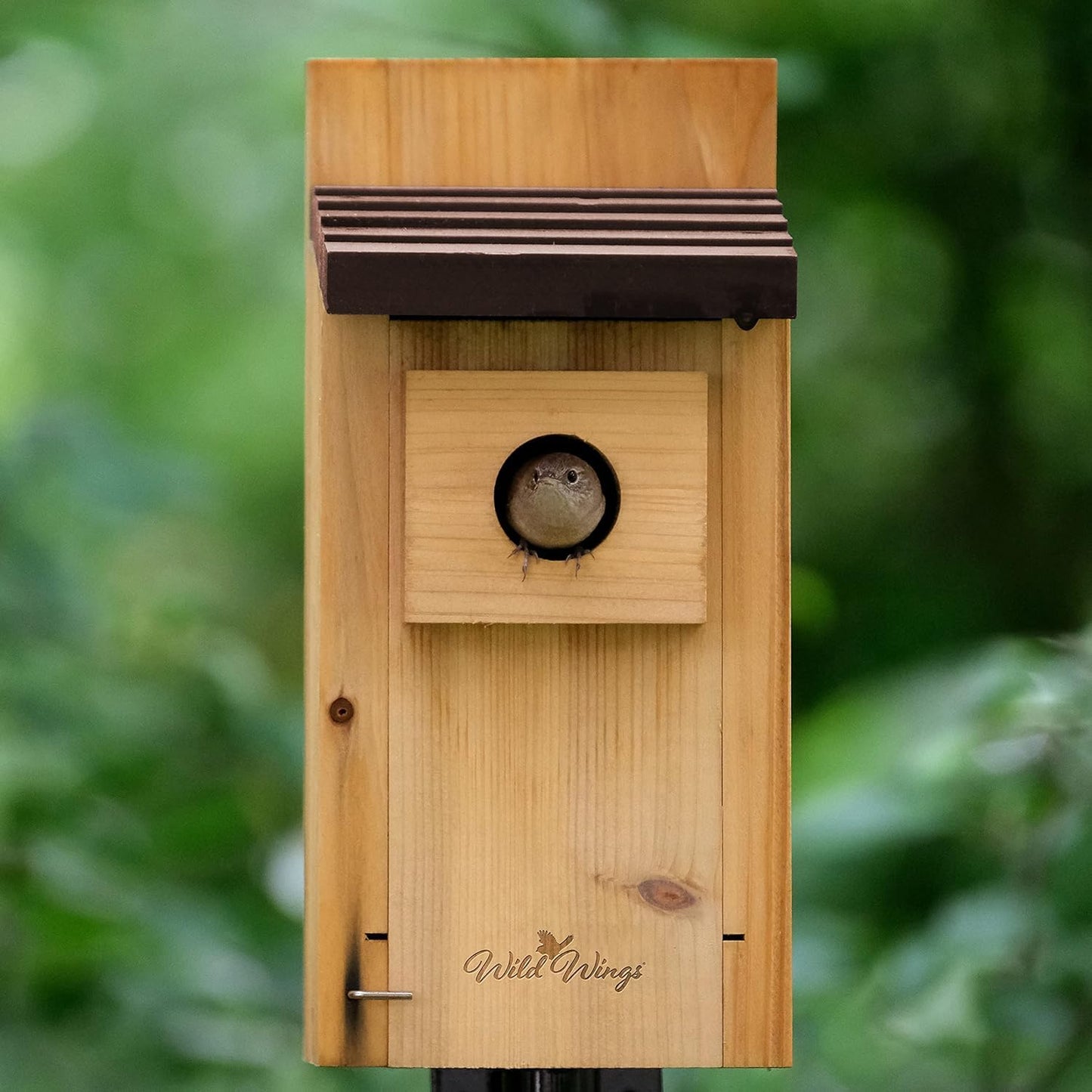 Cedar Bluebird Box House