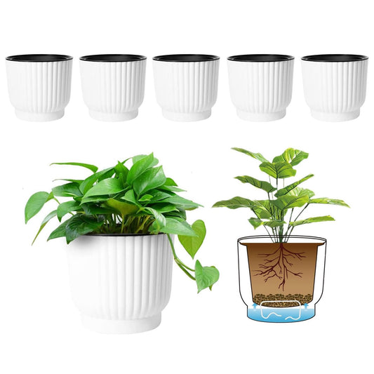 Self Watering Planter Set