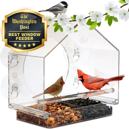 Window Bird Feeder