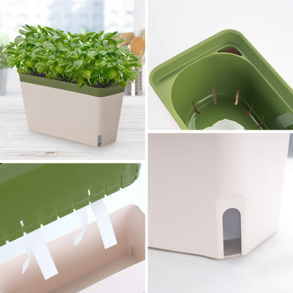 Window Herb Planter Box