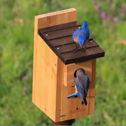 Cedar Bluebird Box House