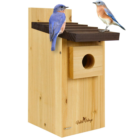 Cedar Bluebird Box House