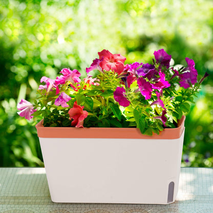 Window Herb Planter Box