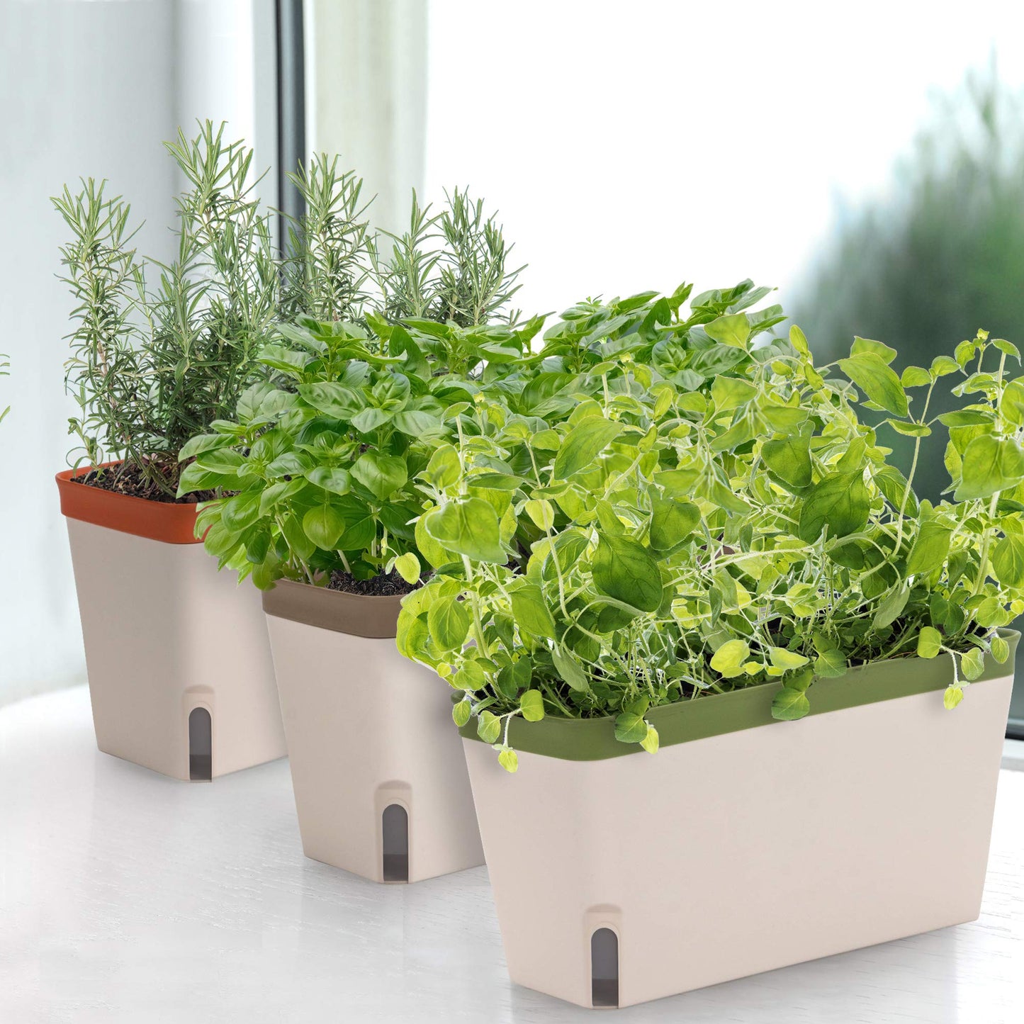 Window Herb Planter Box