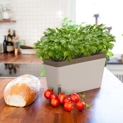 Window Herb Planter Box