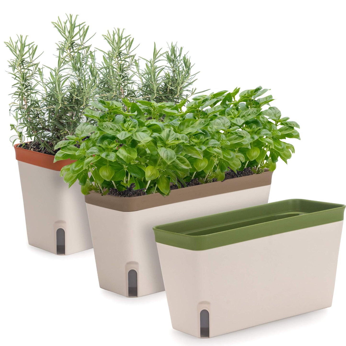 Window Herb Planter Box