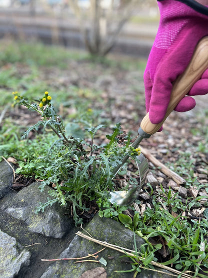 Hand Weeder Tool