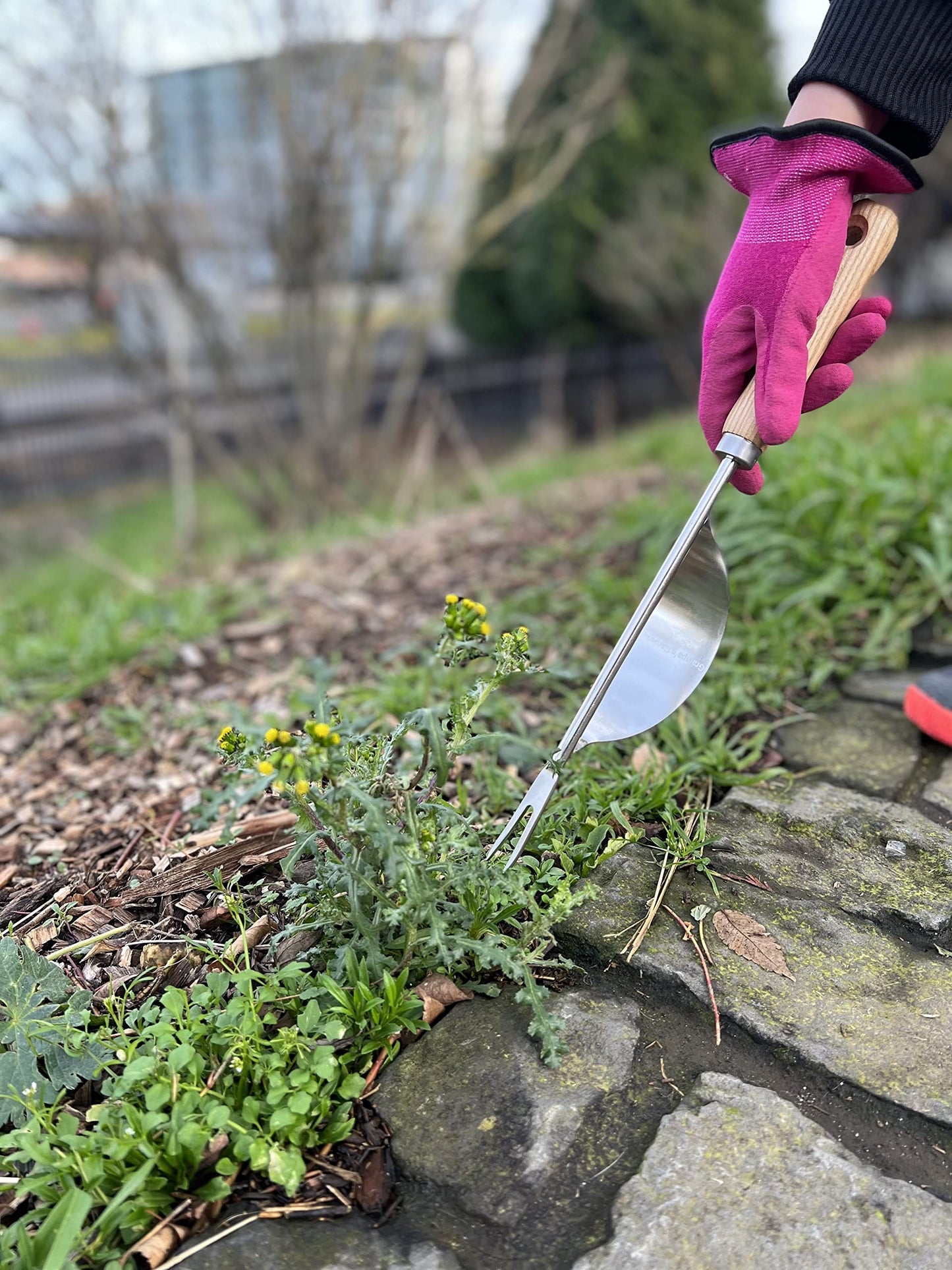 Hand Weeder Tool