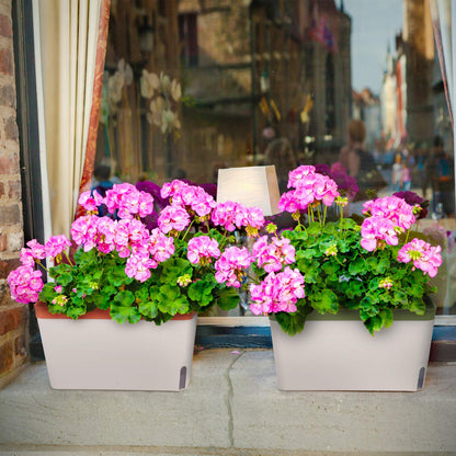 Window Herb Planter Box